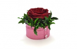 Aranže stabilizovaná růže Edit burgundy