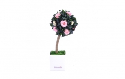 Stromeček Pitosporum 6 pink:stabilizovaná květina