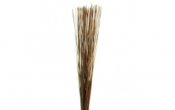 Mash reed - brown