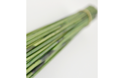 Mash reed - green