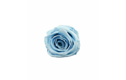Hlavy růží mini - light blue 12ks  