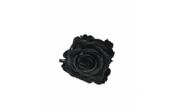 Hlavy růží mini - black 12ks   