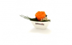 Stabilizovaná růže Aneta orange-aranže