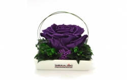 Aranže stabilizovaná růže Dita purple