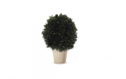 Stabilizovaný strom-Salignum ball bez kmínku 65 cm