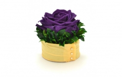Aranže stabilizovaná růže Edit purple