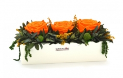 Aranže stabilizovaná růže Elen orange
