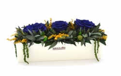 Aranže stabilizovaná růže Elen royal blue