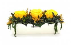Aranže stabilizovaná růže Elen yellow