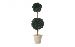 Stabilizovaný strom-Hedera 2 ball 140cm green