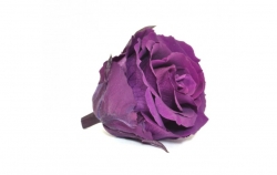 Hlavy růží extra 6ks purple