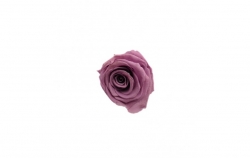 Hlavy růží premium 4ks lila