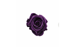 Hlavy růží premium 4ks purple