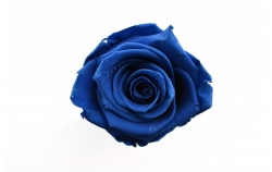 Hlavy růží premium 4ks royal blue