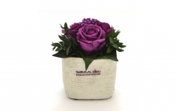 Aranže stabilizovaná růže Ina light purple