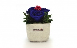 Aranže stabilizovaná růže Ina light royal blue