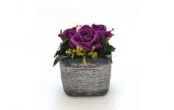 Aranže stabilizovaná růže Ina purple