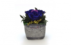 Aranže stabilizovaná růže Ina royal blue