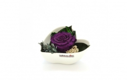 Aranže stabilizovaná růže Lena purple