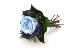 Aranže stabilizovaná růže Lucy light blue