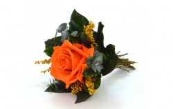 Aranže stabilizovaná růže Lucy orange