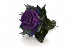 Aranže stabilizovaná růže Lucy purple
