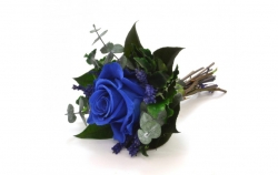 Aranže stabilizovaná růže Lucy royal blue