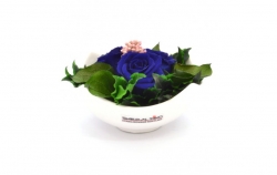 Aranže stabilizovaná růže Nela royal blue