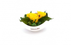 Aranže stabilizovaná růže Nela yellow