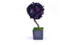 Stromeček Hortenzie 2 black, purple princess:stabilizovaná růže