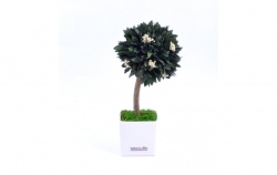 Stromeček Parvafolia 4:stabilizovaná květina
