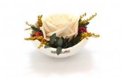 Aranže stabilizovaná růže Tera champange