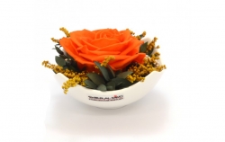 Aranže stabilizovaná růže Tera orange