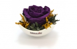 Aranže stabilizovaná růže Tera purple