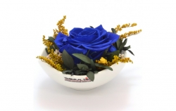 Aranže stabilizovaná růže Tera royal blue