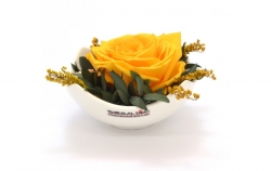 Aranže stabilizovaná růže Tera yellow