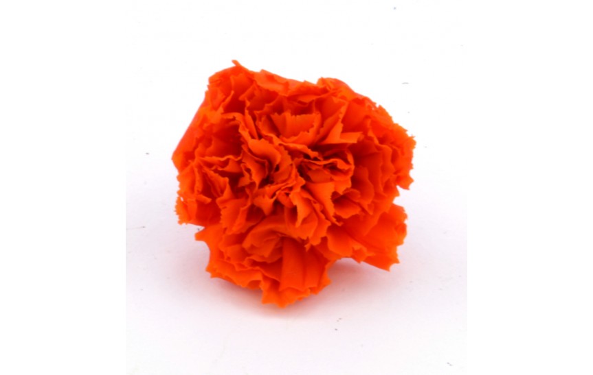 Karafiát - orange 6 ks 