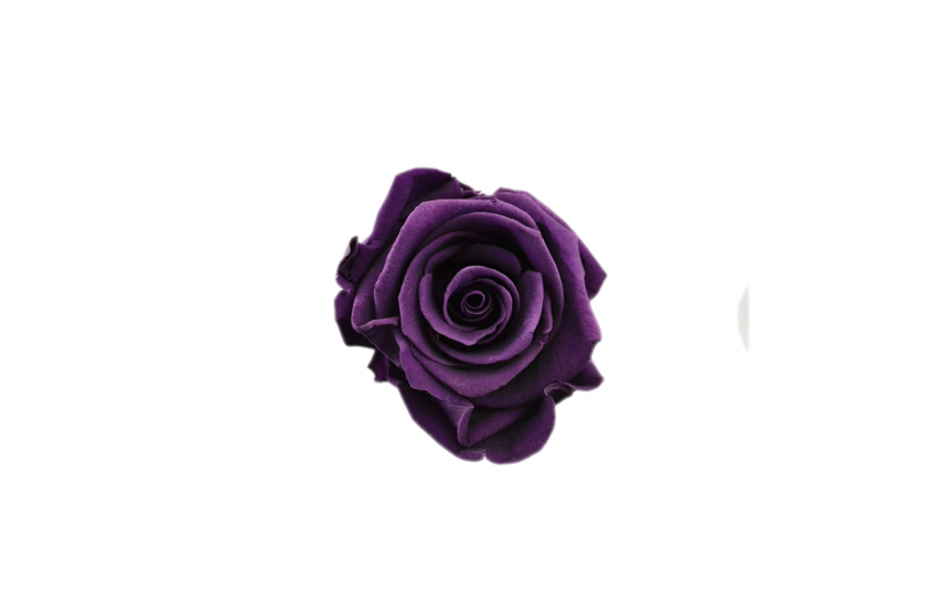 Hlavy růží mini - purple 12ks