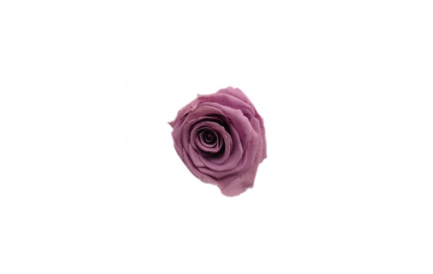 Hlavy růží mini - lila 12ks  