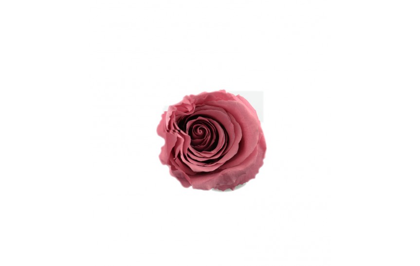 Hlavy růží mini - cherry blossom  12ks 