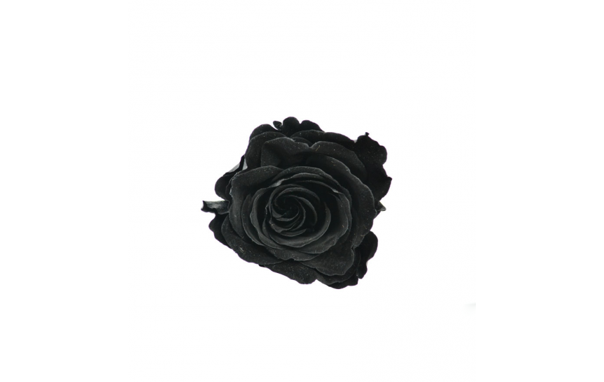 Hlavy růží mini - black 12ks   