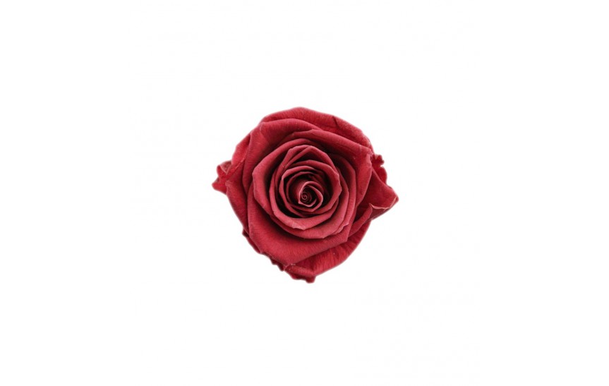 Hlavy růží premium 4ks cranberry