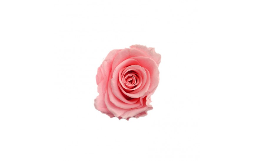 Hlavy růží premium 4ks light pink
