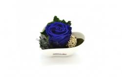 Aranže stabilizovaná růže Lena royal blue